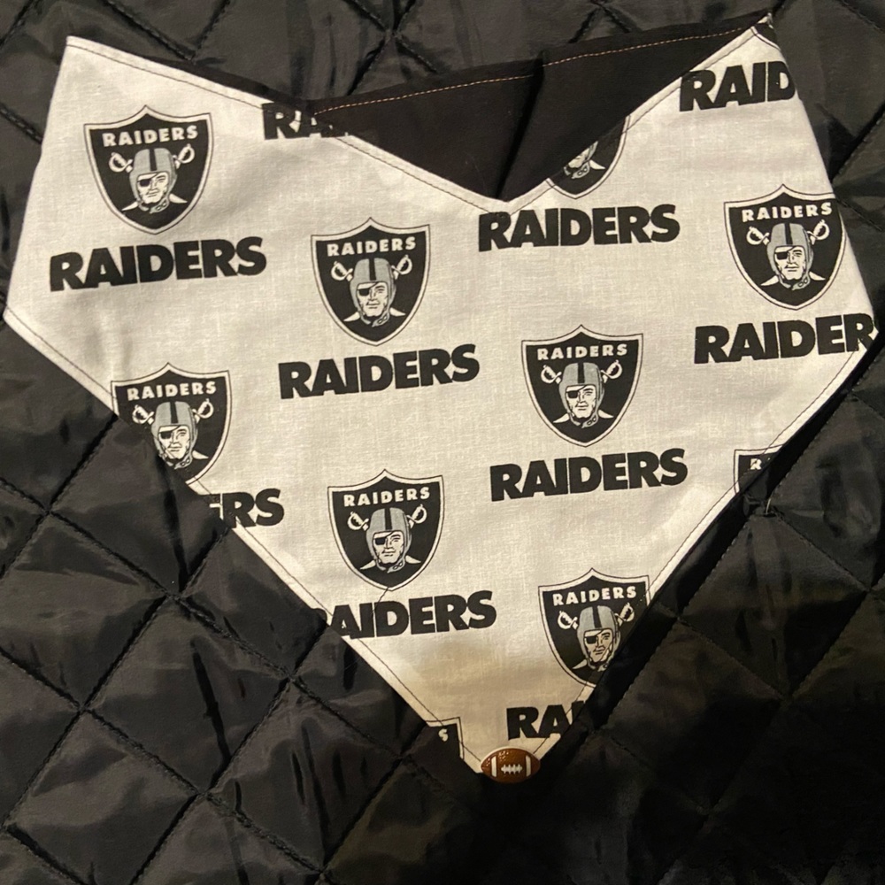 Handmade Raiders Dog Shirt